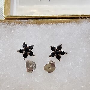 Pure Silver Earring NWT.